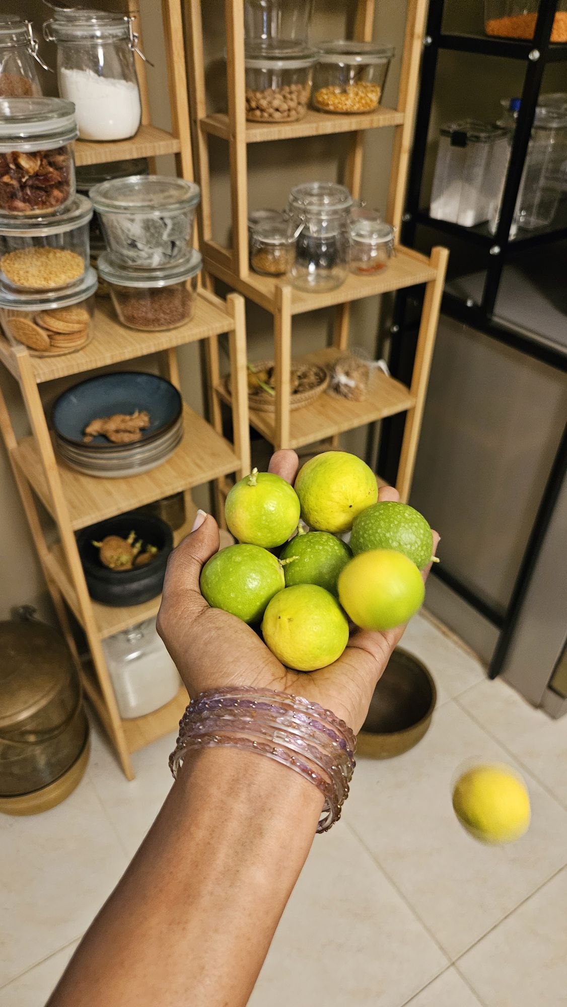 freshly harvested lemons!