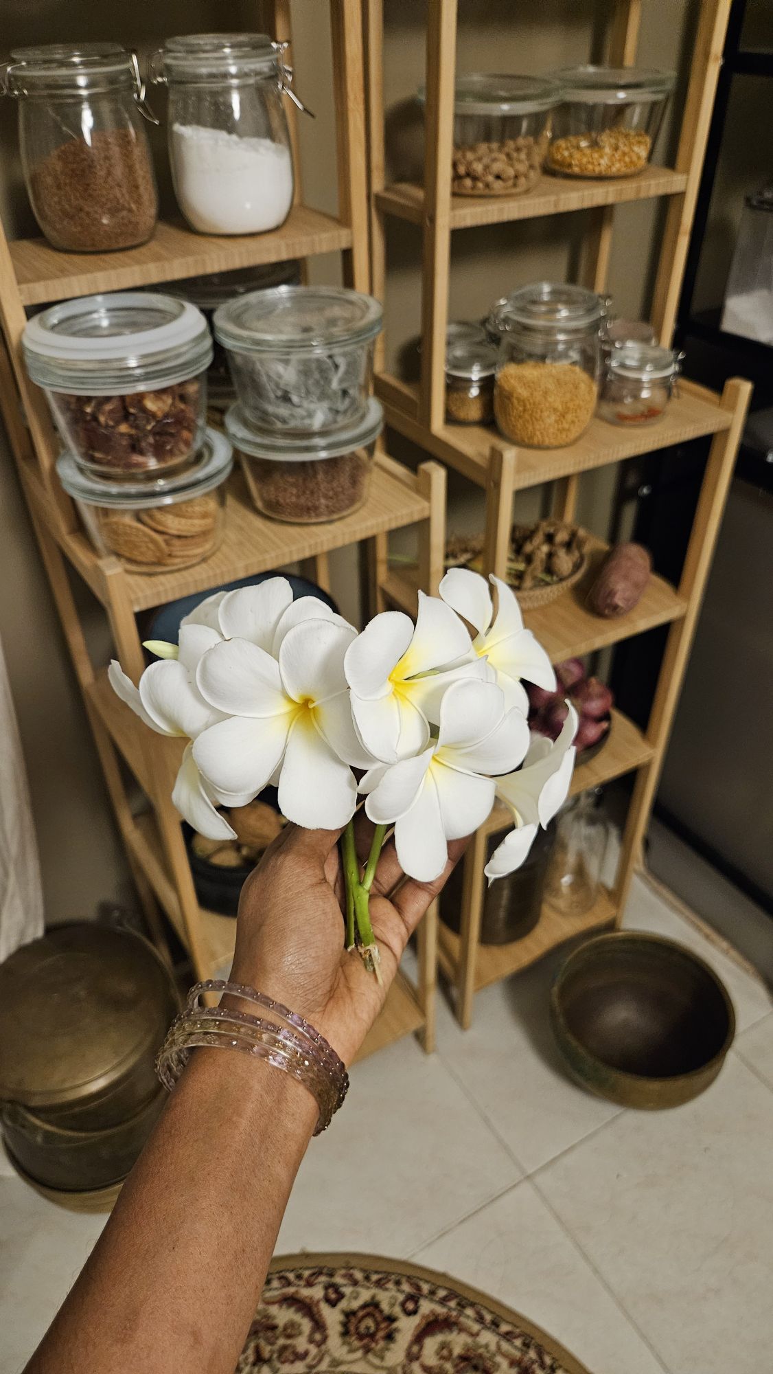 fresh frangipani flowers dad picked for me.
