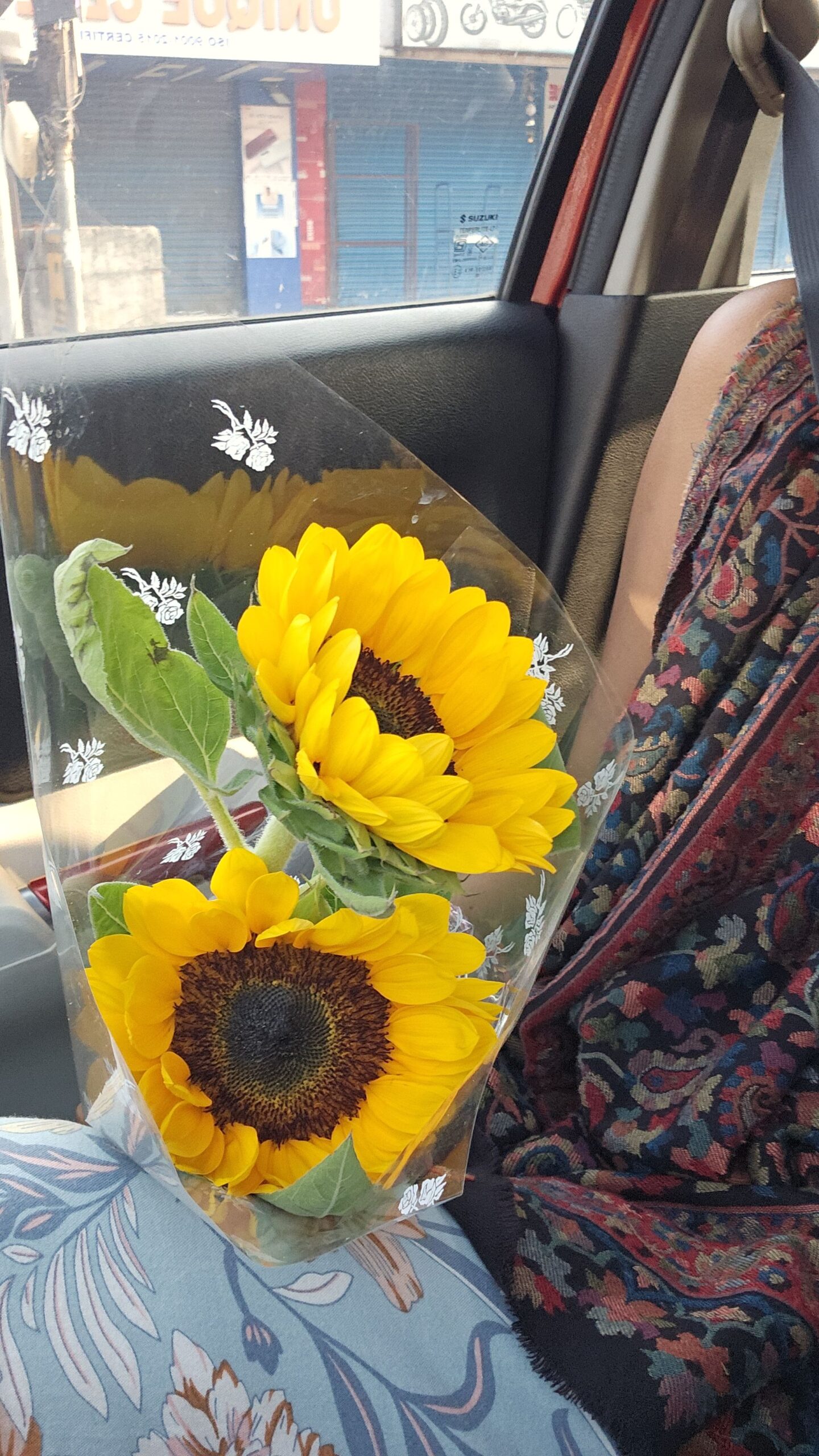 fresh sunflowers on the last week of september..